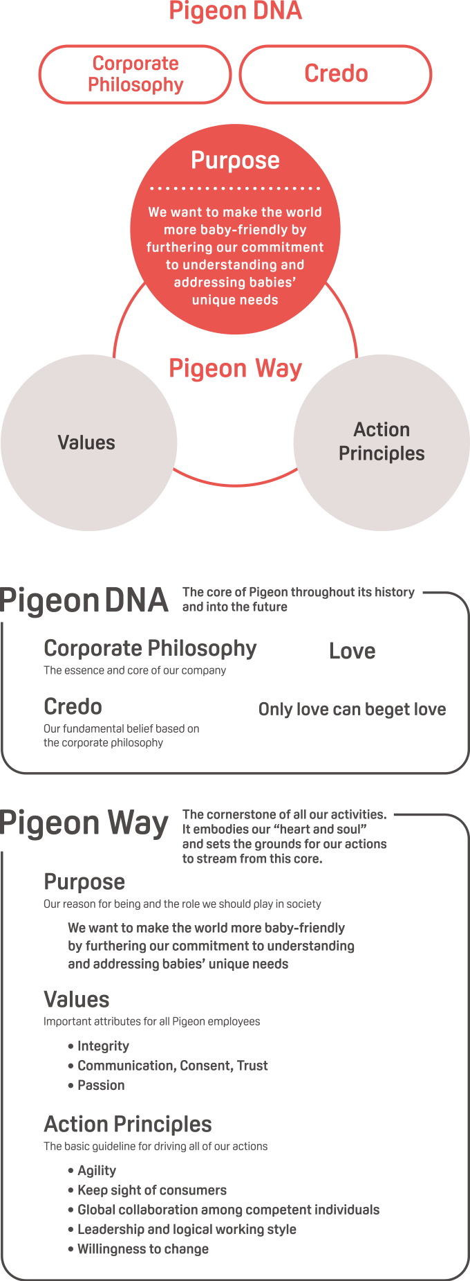 Pigeon DNA・Pigeon Way